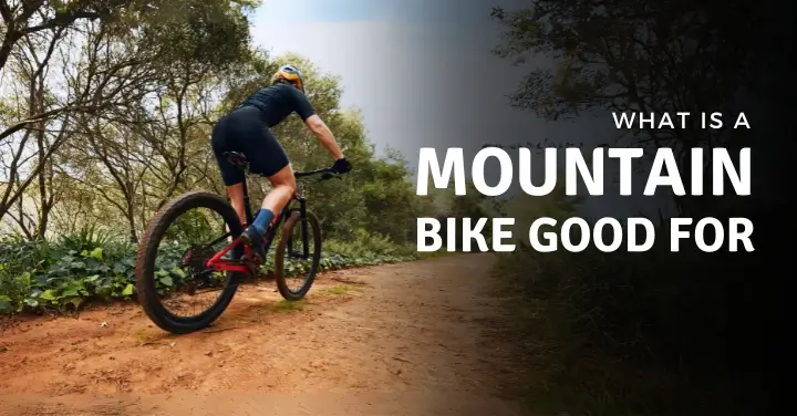 What Is a Mountain Bike Good For