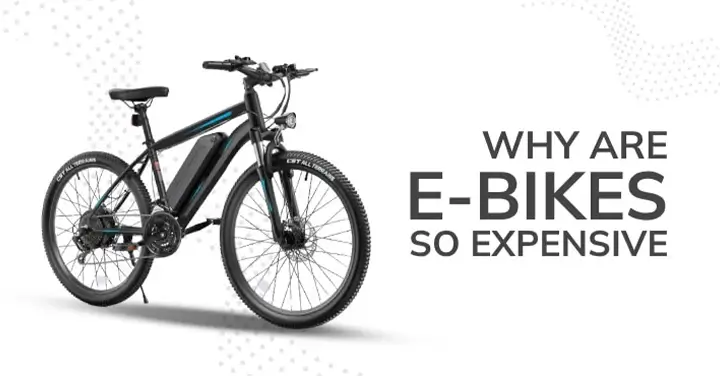 why are electric bikes so expensive
